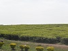 View image details