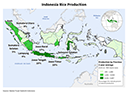 Crop Production Map